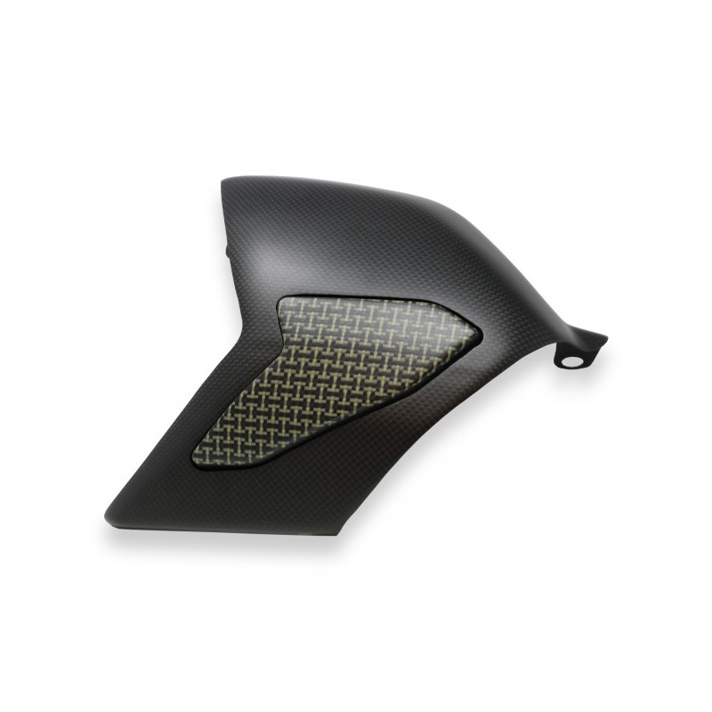 CNC Racing Carbon Fiber / Kevlar Swingarm Cover for Ducati Panigale V4 / S / R / Speciale CNC Racing Carbon Fiber / Kevlar Swingarm Cover for Ducati Panigale V4 / S / R / Speciale